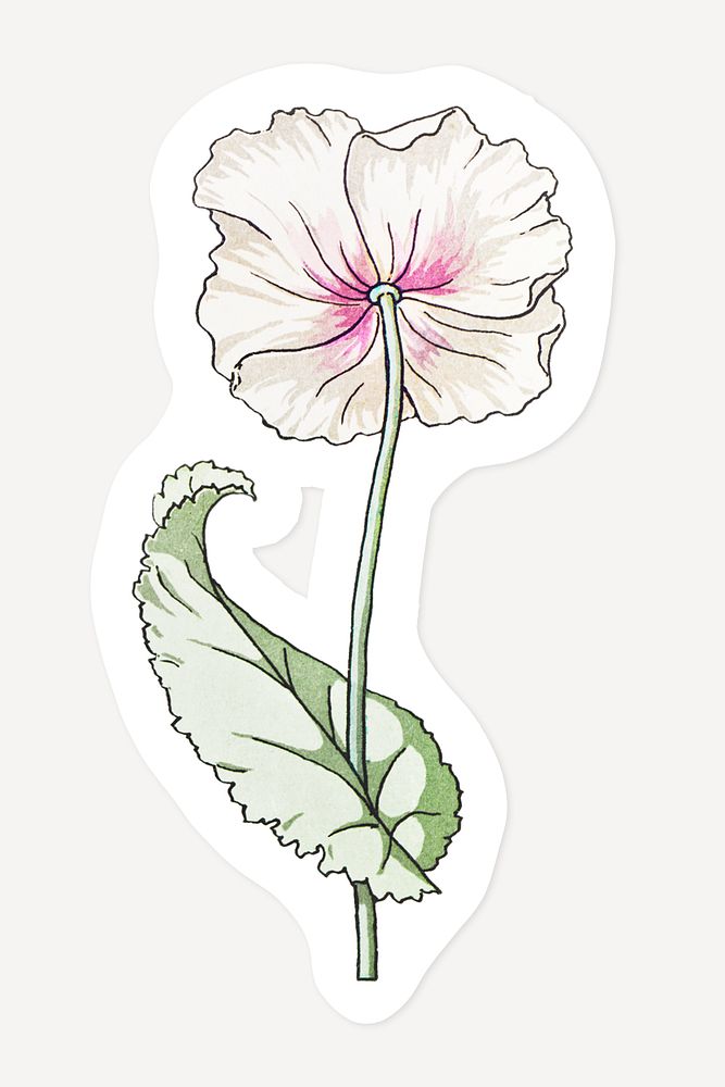 Vintage poppy flower sticker with white border design element