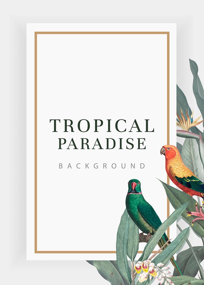 Tropical paradise banner frame illustration