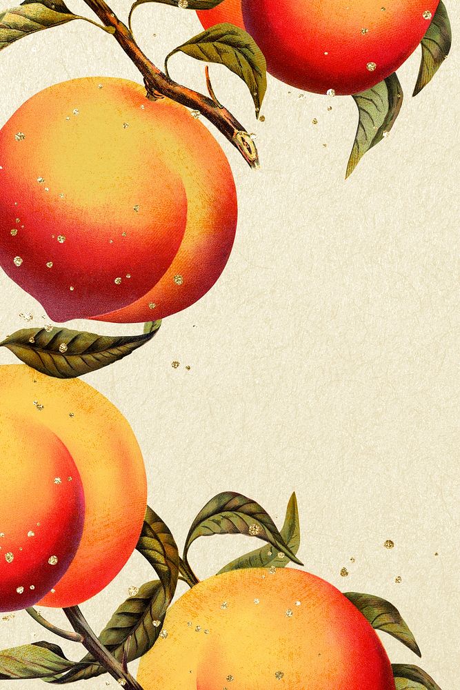 Peach background, aesthetic botanical border illustration