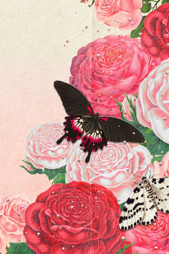 Butterfly pink flower background, vintage illustration 