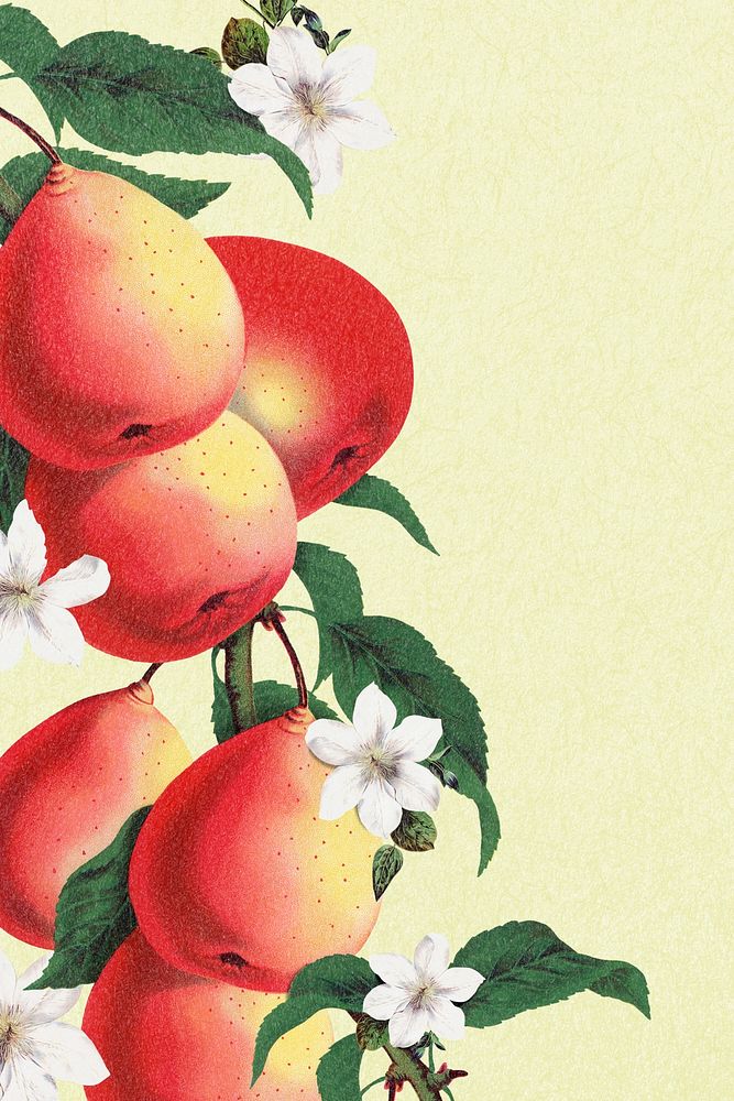 Flower & pear background, aesthetic botanical border illustration