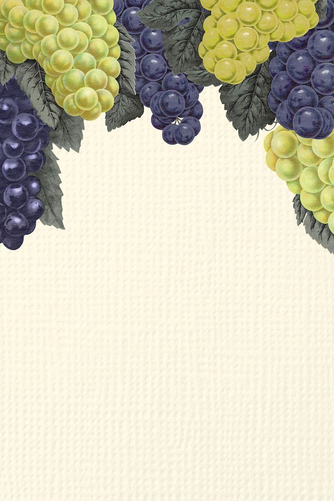 Grape border background, aesthetic botanical illustration
