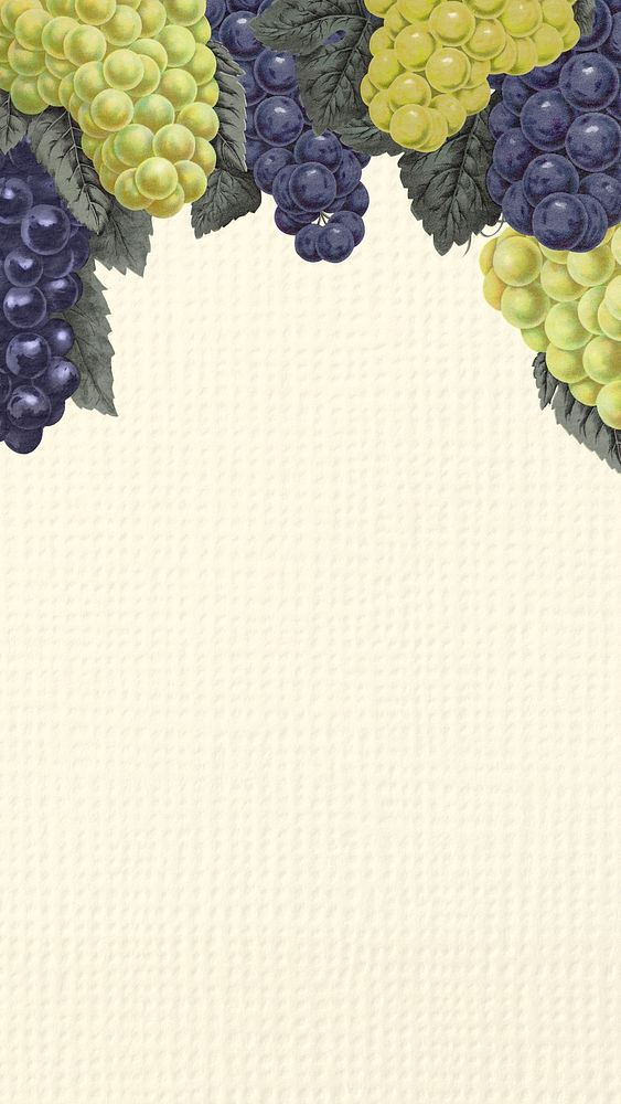 Grape mobile wallpaper, fruit background