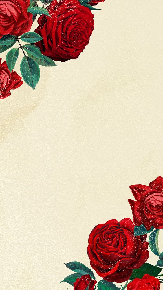 Red rose mobile wallpaper, floral background
