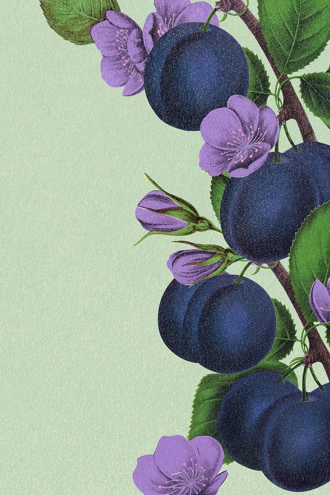 Green plum background, aesthetic botanical border illustration