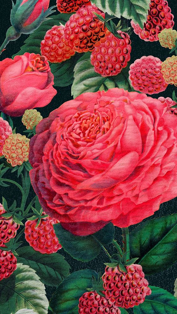 Pink rose mobile wallpaper, botanical Premium Photo Illustration