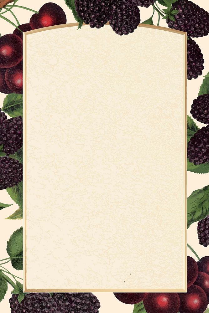Blackberry botanical frame, vintage background vector