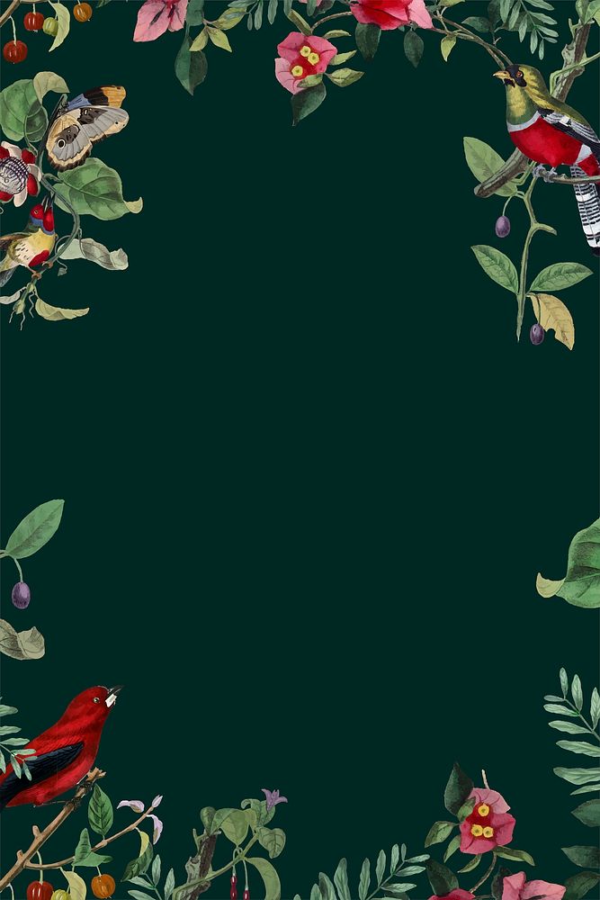 Nature frame, beautiful botanical illustration vector