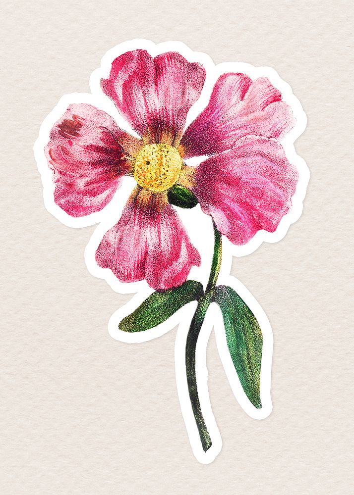 Vintage martynia flower sticker with white border