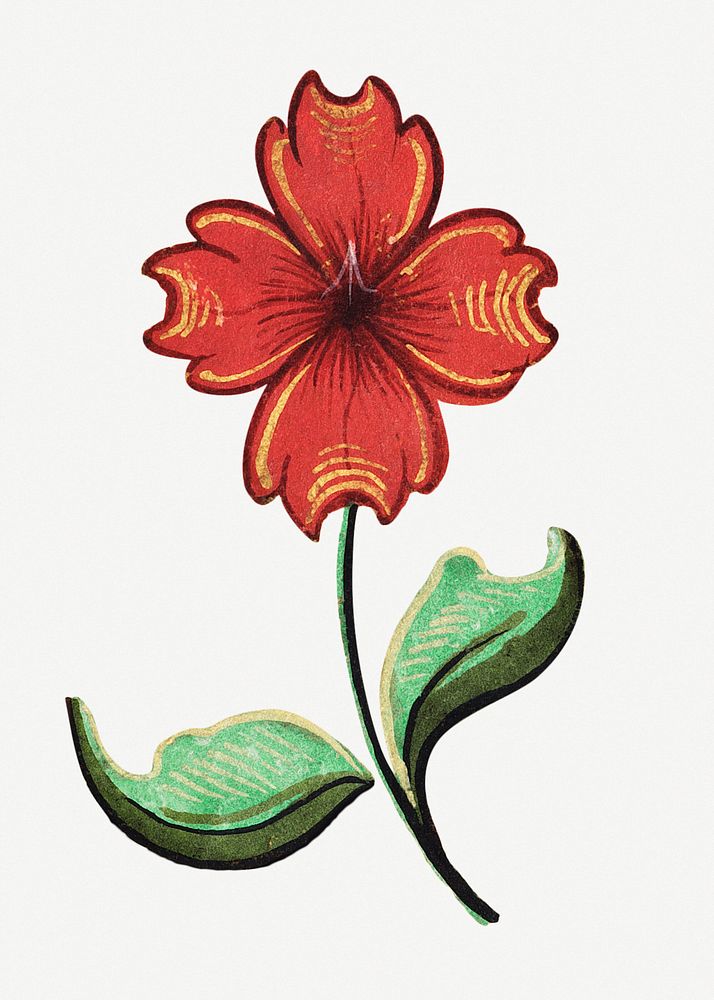 Vintage red flower illustration, featuring public domain artworks