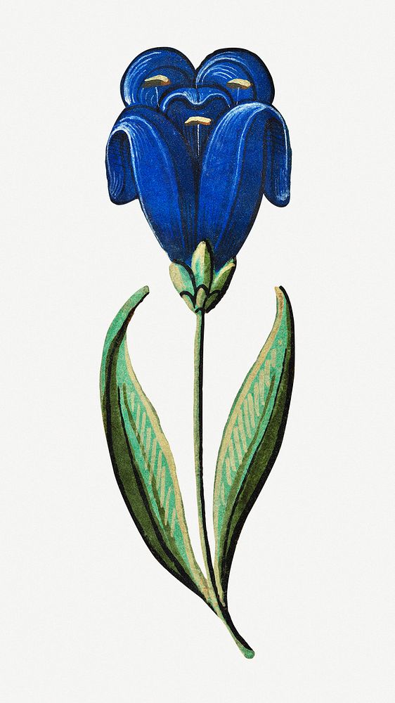 Vintage blue flower illustration, featuring public domain artworks