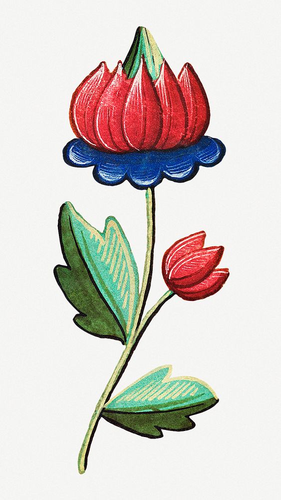 Vintage red flower illustration, featuring public domain artworks