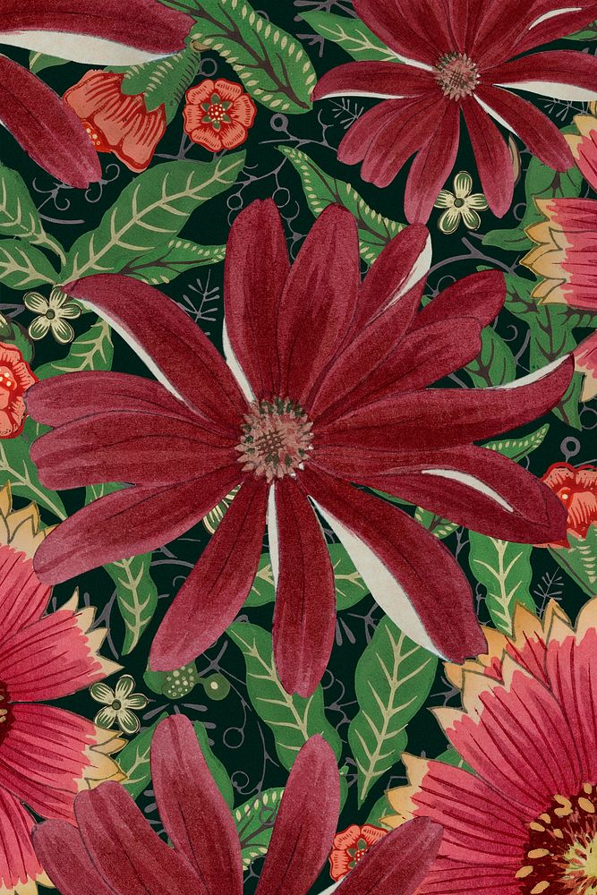 Cineraria flower background, vintage Japanese art