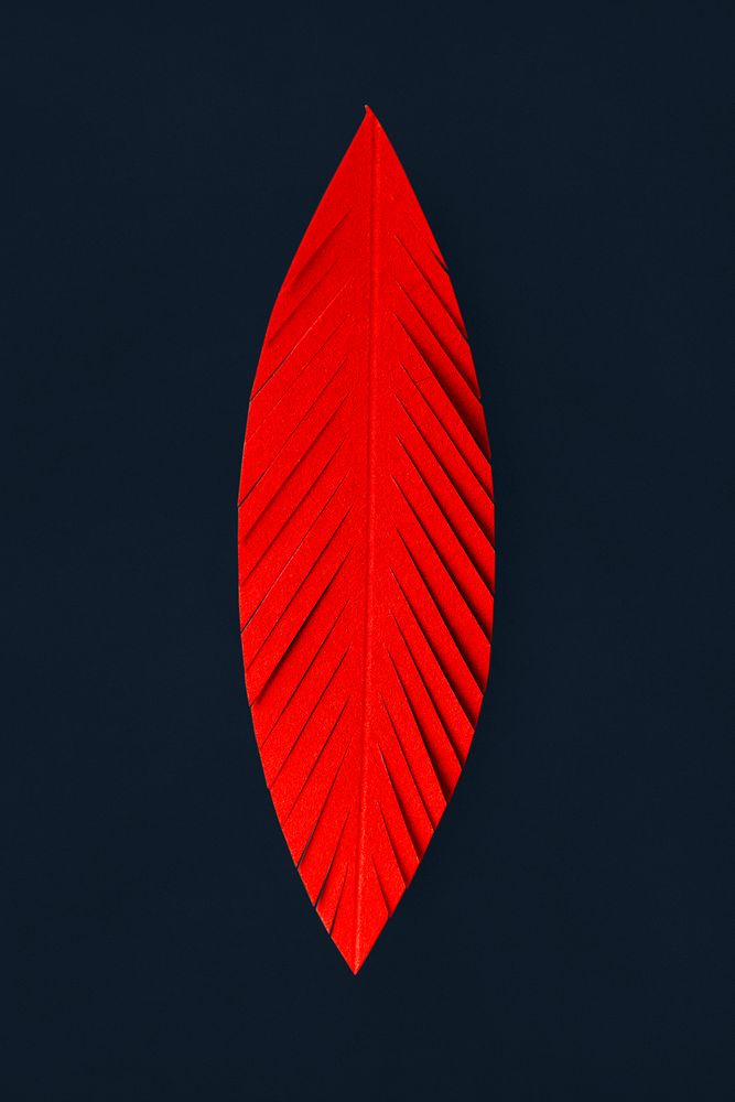 3D paper craft of feather