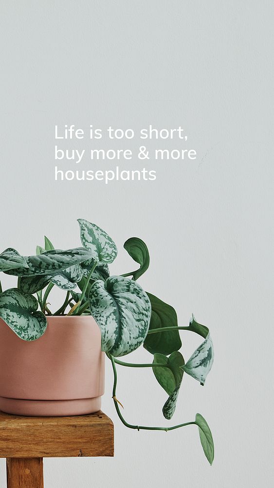 Houseplant quote template psd, life is short buy more and more houseplants