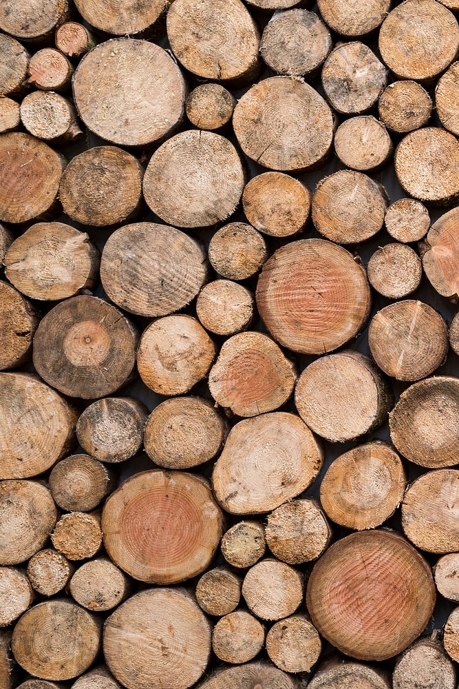 Wood log pile pattern background, circles design