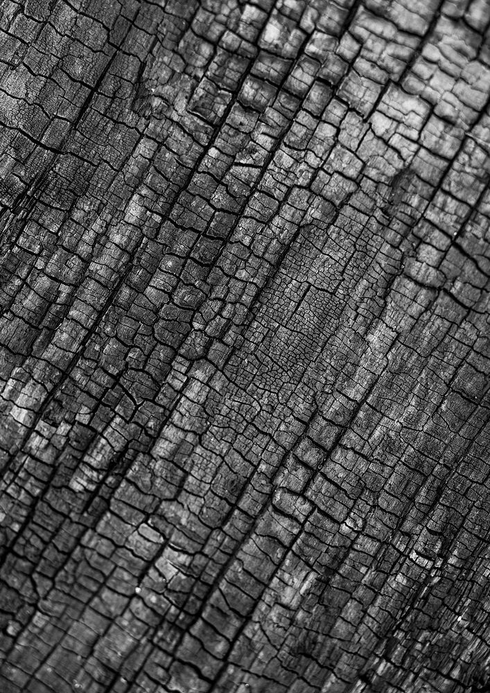 Black wood texture background, abstract design
