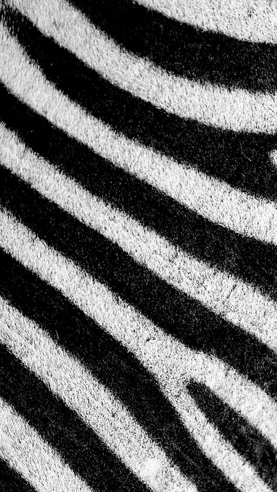 Zebra pattern phone wallpaper, abstract background