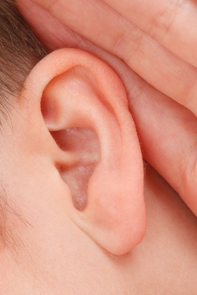 Free kid's ear public domain CC0 photo.