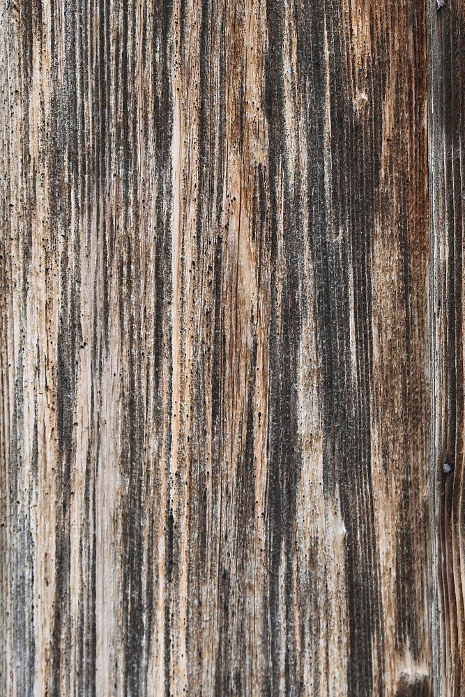 Weathered wood texture background, abstract design