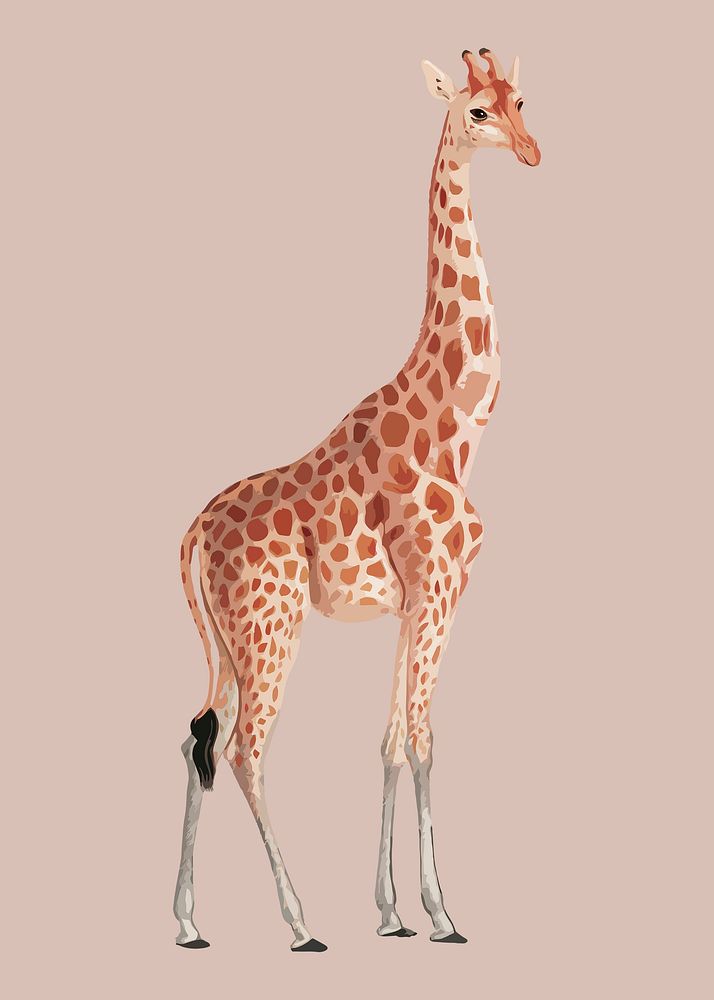 Giraffe animal collage element, aesthetic illustration psd