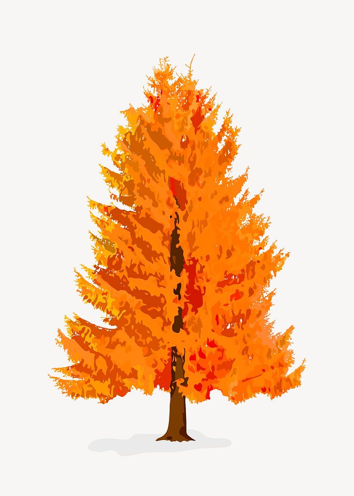 Autumn tree isolated on white, nature design psd