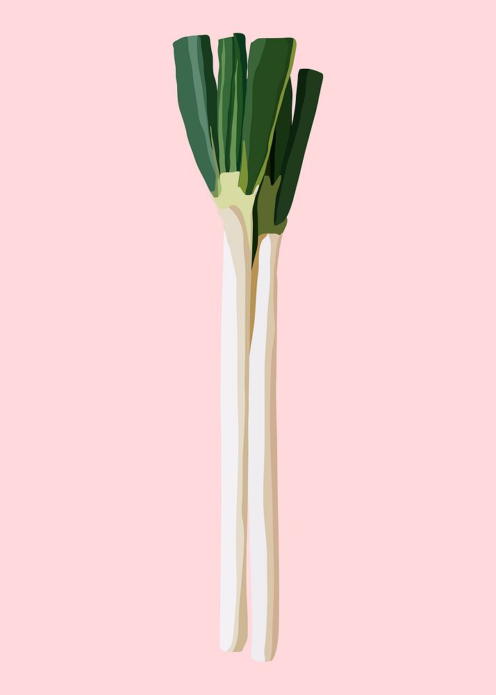 Leeks vegetable clipart, realistic illustration design