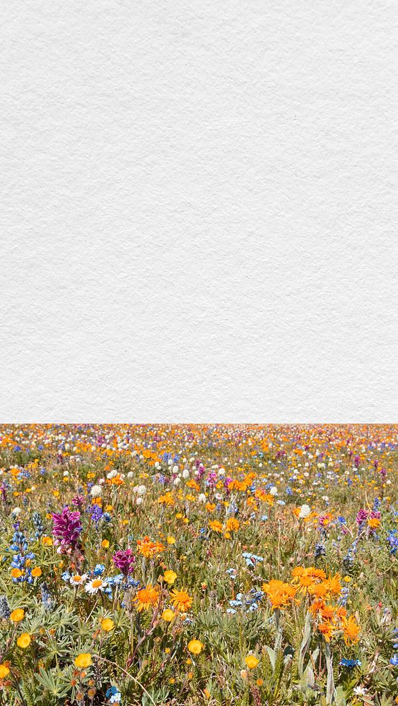 Spring flower field iPhone wallpaper, aesthetic border background