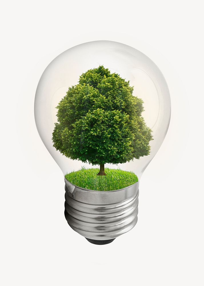 Green energy collage element, tree in light bulb psd