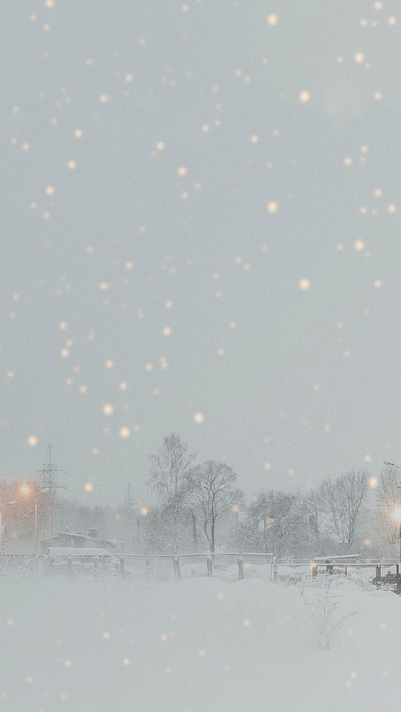 Snowy park in the evening mobile phone wallpaper