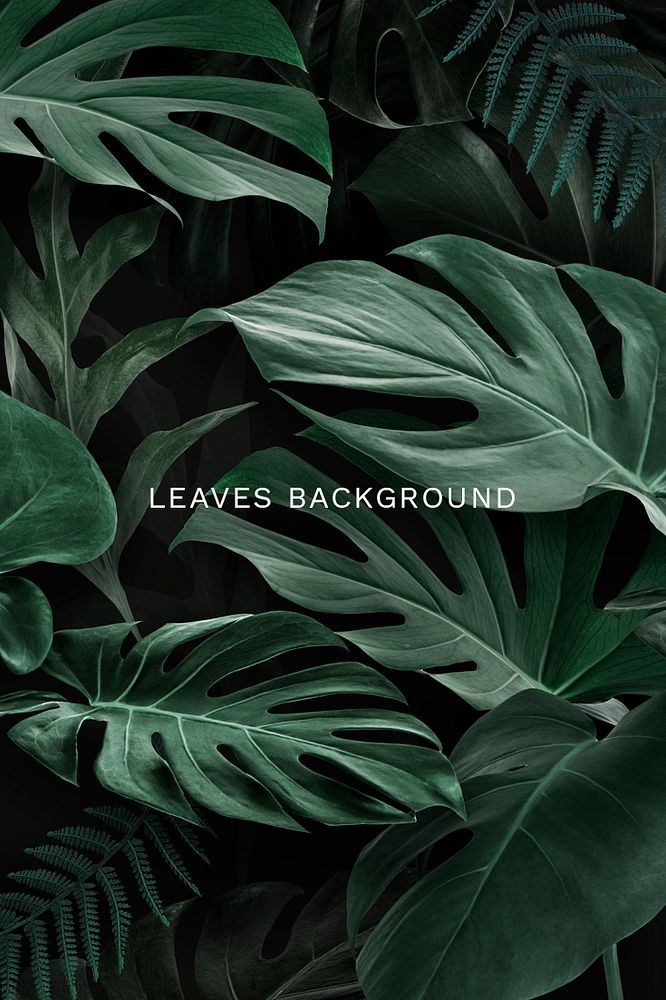 Natural green leaves background template