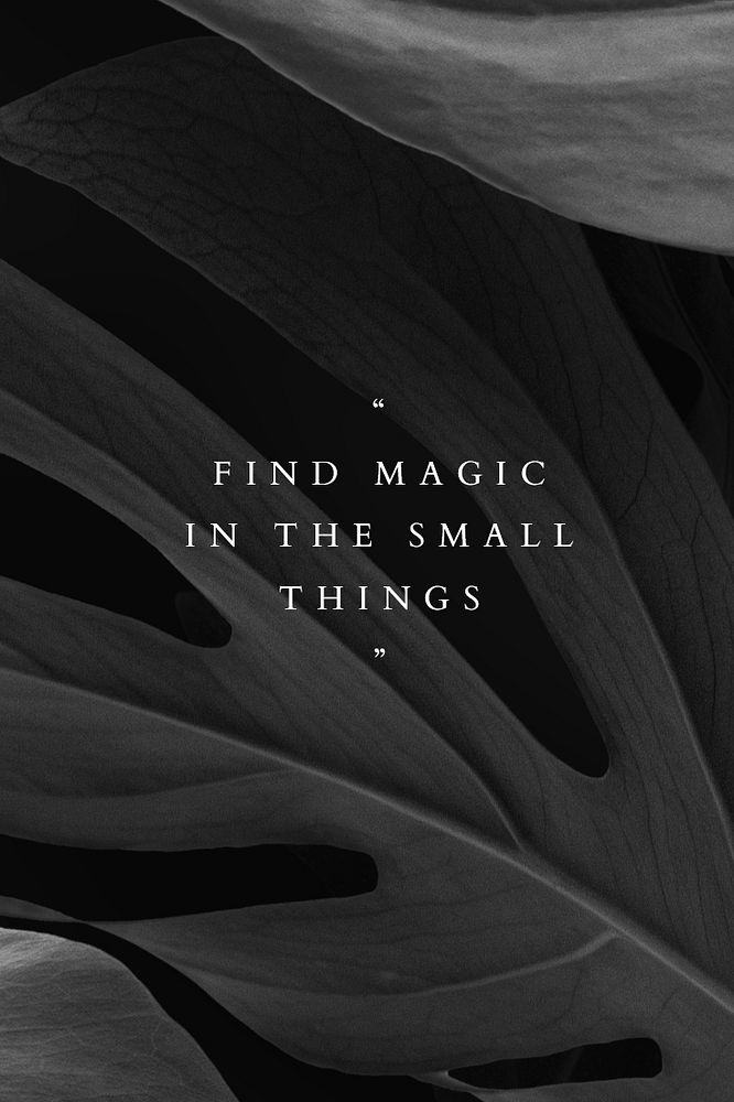 Find magic in the small things template