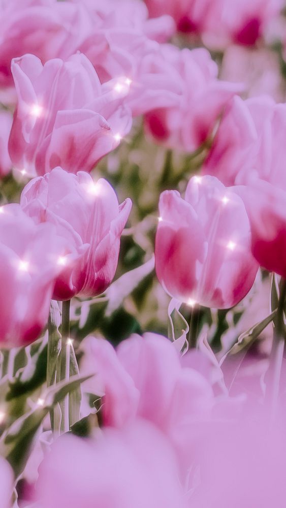 Sparkle tulip floral background image