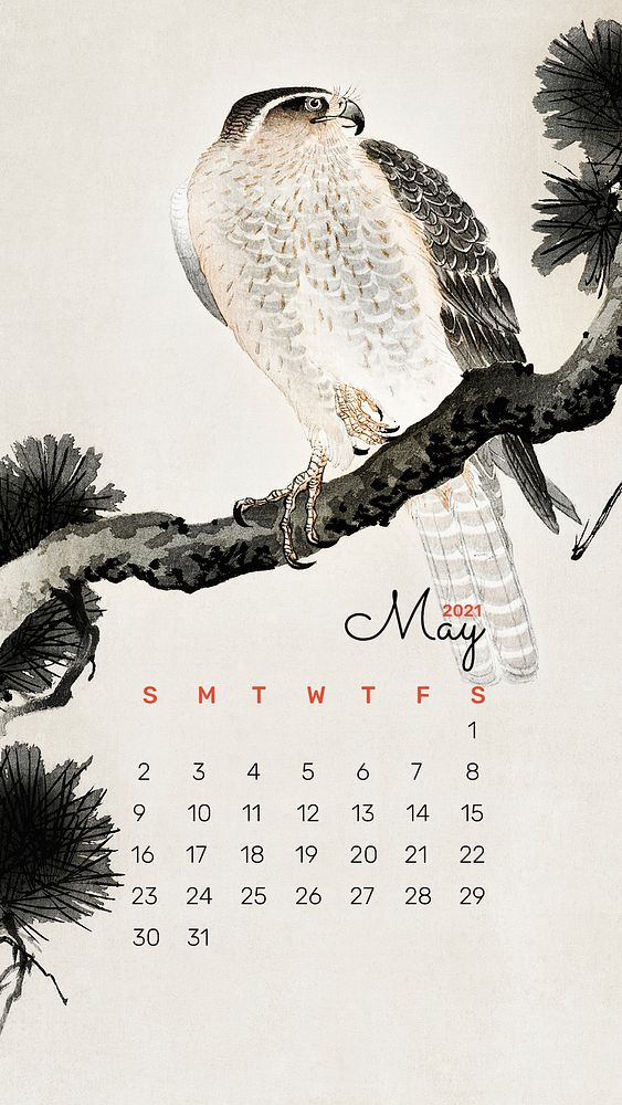 2021 calendar May template phone wallpaper psd hawk on a pine branch remix from Ohara Koson