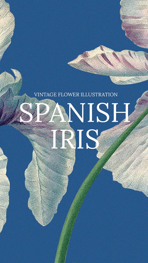 Vintage floral template psd illustration with spanish iris background, remixed from public domain artworks