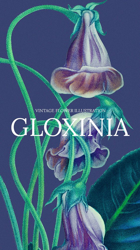 Vintage floral template psd illustration with gloxinia background, remixed from public domain artworks