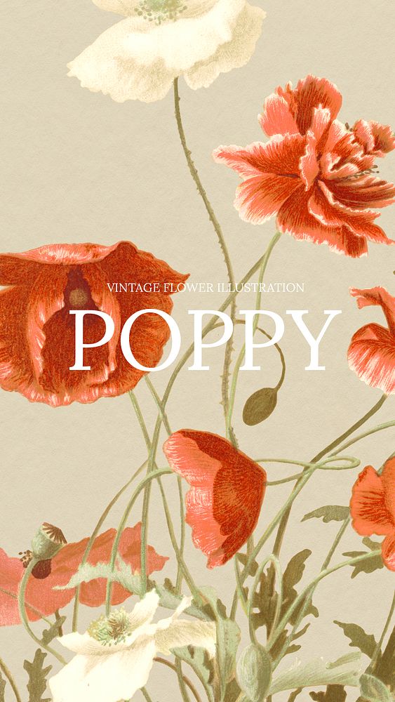 Vintage floral template psd illustration with poppy background, remixed from public domain artworks
