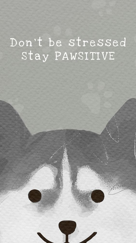 Siberian Husky dog template psd quote social media story, don't be stressed stay pawsitive
