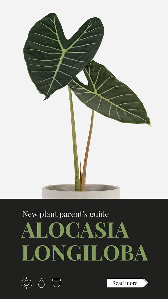 Plant parent beginner template psd guide