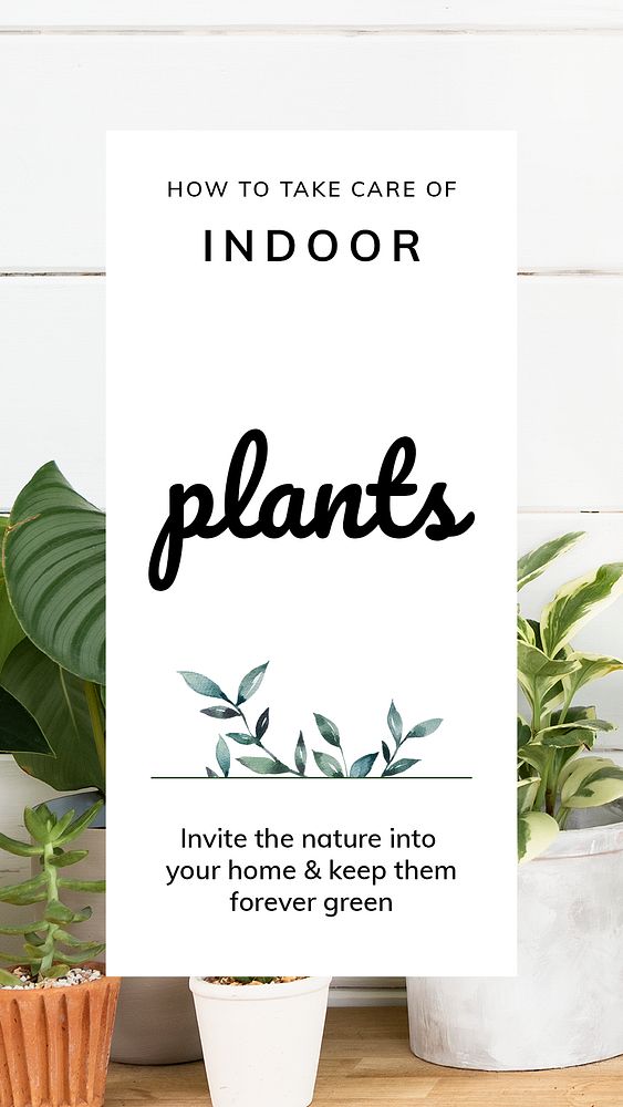 Indoor plants care template psd