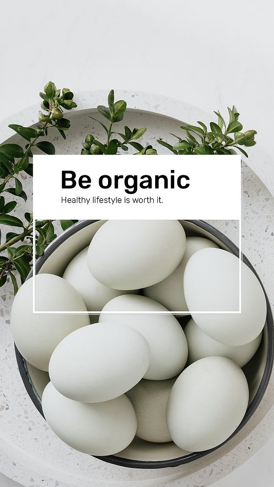 Organic food banner template psd