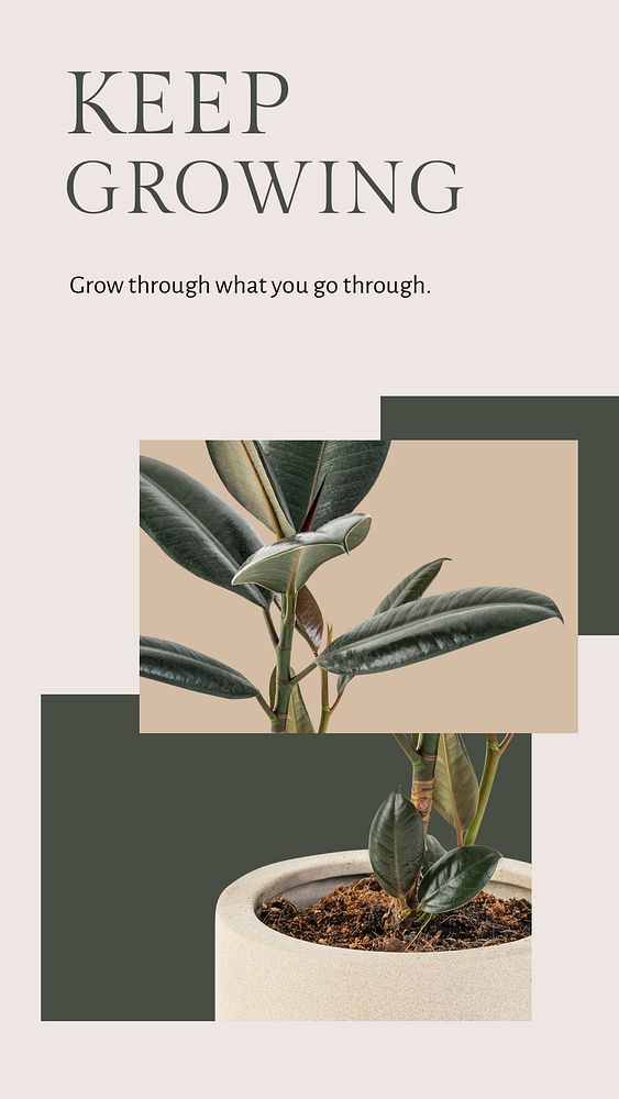 Keep growing botanical template psd with rubber plant social media story