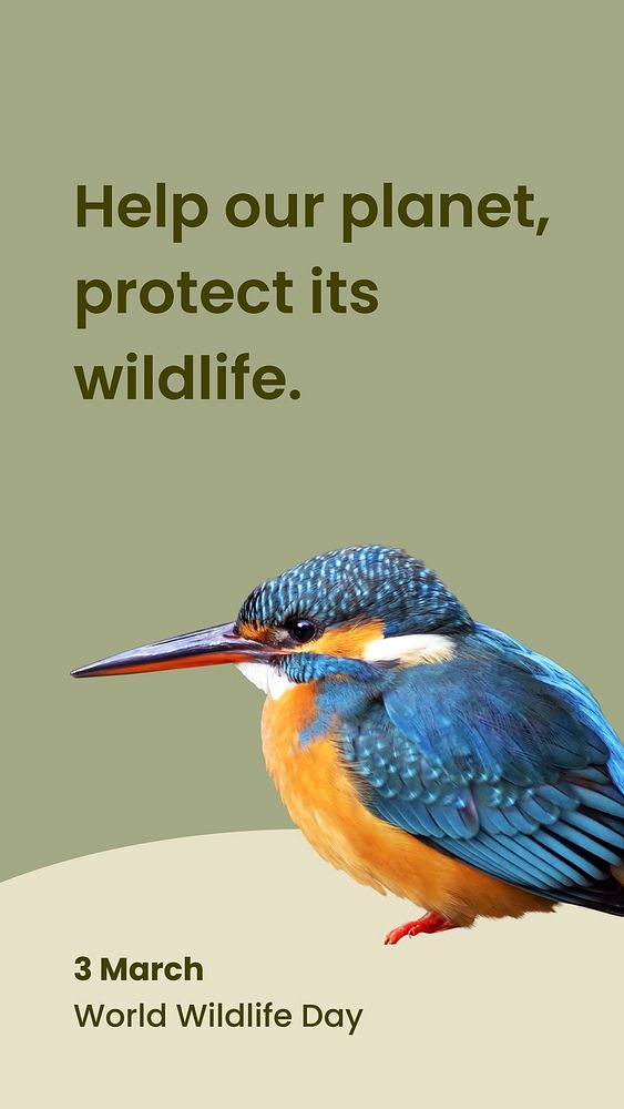 Animal conservation Facebook story template, common kingfisher design vector