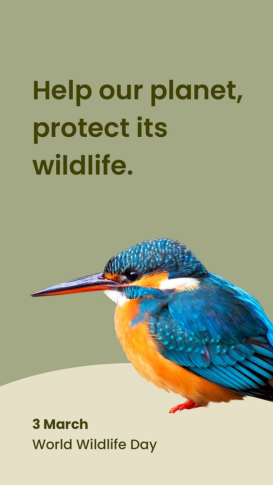 Animal conservation Instagram story template, common kingfisher design psd