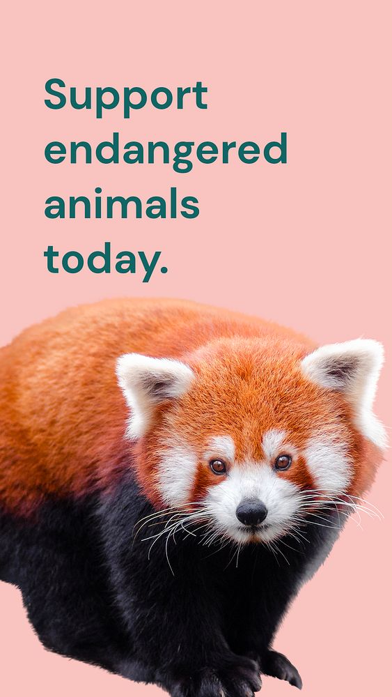Animal conservation Instagram story template, red panda design psd