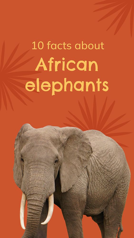 Elephant Facebook story template, animal facts design psd