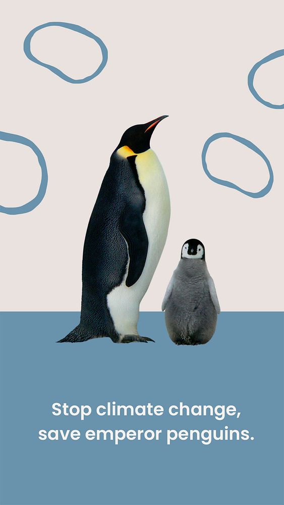 King penguin Instagram story template, wildlife protection design psd