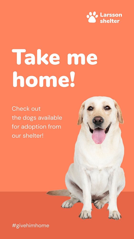 Pet shelter Facebook story template for social media advertisement vector