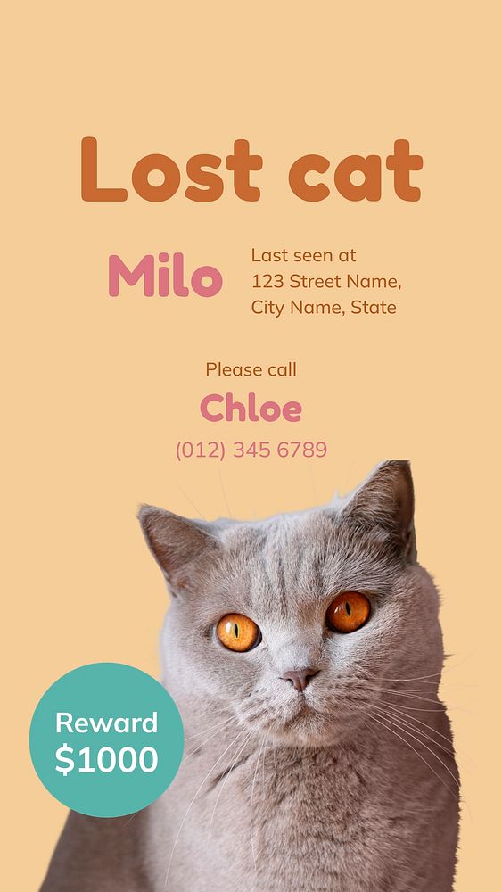 Lost cat Facebook story template for social media advertisement vector