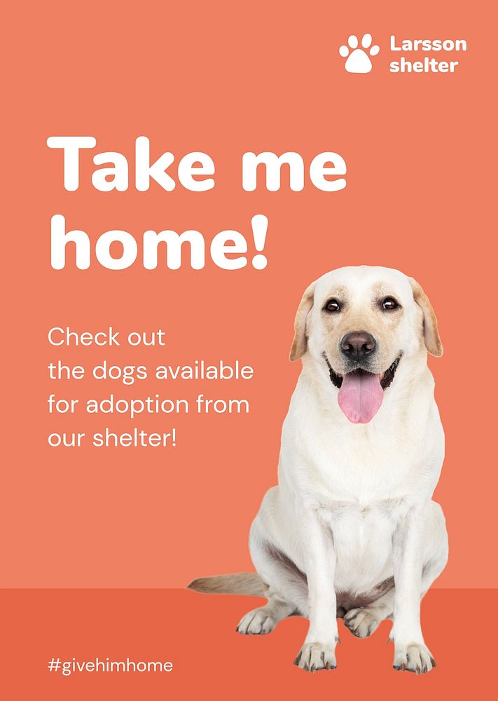 Pet shelter poster template for social media advertisement vector